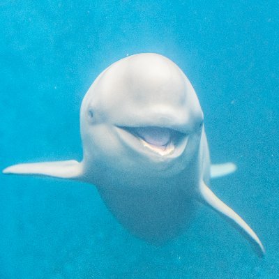 Ts_lovelove's profile picture. アラフィフ妻子持ちのオッサン。
撮影見本を増やさねばと思いながらできてませんが一応撮影垢で
ポトレ・コスプレ・フェチ・ヌードと何でも撮影させていただきます。
写真撮影をさせていただける方（性別・年齢問わず）常時募集中です。顔出しNGも不掲載も大歓迎。
お気軽にお誘いください🙏
相互無償＆費用割り勘でお願いします。