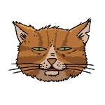 matterdudeman's profile picture. 