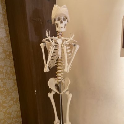 Harakko_'s profile picture. 色んなオタ垢 主成分:にじさんじ👻🔪 🌞 刀ステ とうらぶ 2.5 (♥:公式 FA コス ごちゃ混)