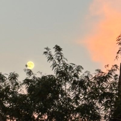 Jin_Sei_115's profile picture. 踊る人 🗽