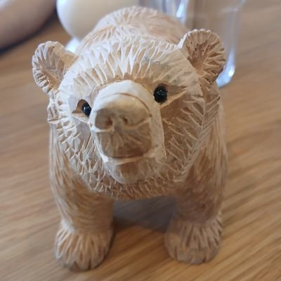 kosuke349718953's profile picture. 