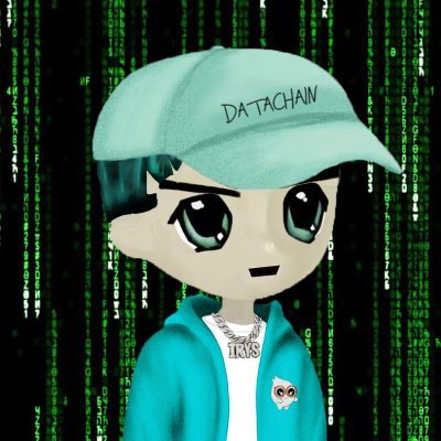 datamilioNFT's profile picture. Verifying culture on @irys_xyz