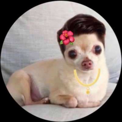 flipdanetcom's profile picture. FDN Community Admin