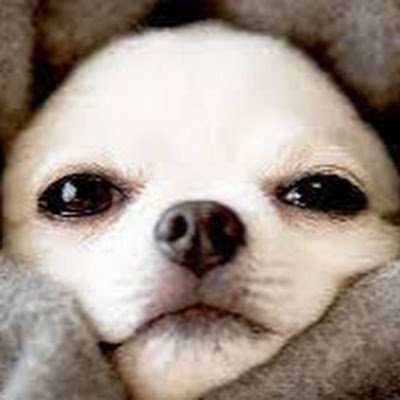WMPiUGVQ4393334's profile picture. 