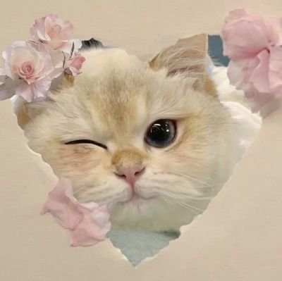 gtogol's profile picture. Giveaway Hunter! Wanna win all day so please pick me picker