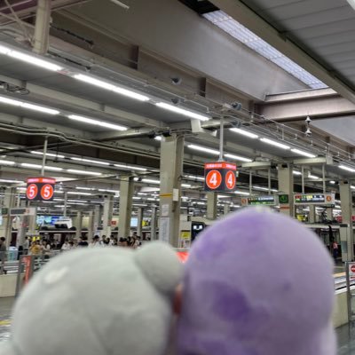 JJJ_mile_DDD's profile picture. 航空、旅行、腕時計など分離垢、平JGC、平SFCの🟪組、JCB The Class解脱🧘(2023年5月〜2025年12月) ラブライブ ！シリーズの話もたまに