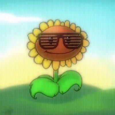 MollinUFC's profile picture. | Purple belt memecoin trader |🇲🇽 #Crypto |#MMA | ☦️✝️