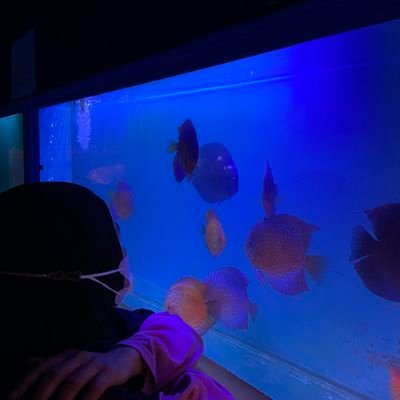 Jintanputih_'s profile picture. 