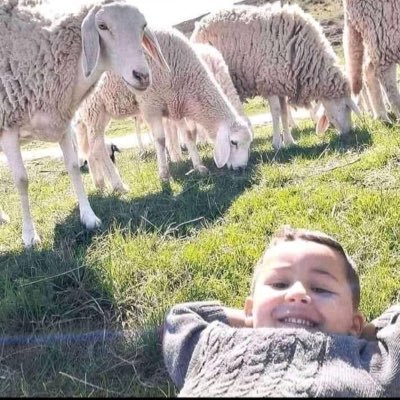 RelaxDude3137's profile picture. #RELAXDUDE 🌗. HARD WORK🙂‍↔️, SMART WORK 🙂‍↕️, BE PATIENT 😌, STAY CALM🤓 , STAY CHILL😑, #NEVERGIVEUP 🫵🏼💯