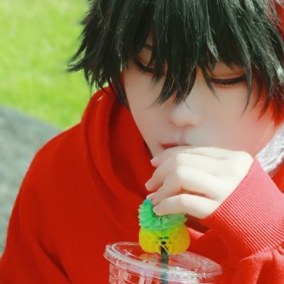 雑多垢(刀剣/三国無双)成人済高卒済⚫︎東北⚫︎プロフカード一読推奨/土佐推し⚠️夢女(むつさに/ひぜさに)※自衛B多め/コス写/刀さに/3Lあり/※実在しません