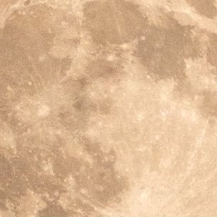 pick9732's profile picture. 川尻蓮単推し・藤井風・XG箱推し・椎名林檎・シティポップ・etc(推しがグループ活動のみでソロワークスがないので今のところ私のTLは推し以外のネタとその他色々のことになります…ご理解の程よろしくお願い致します)・六四天安門