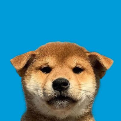 shaneyang966's profile picture. nobody