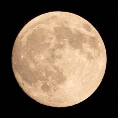 104kanadome's profile picture. 株‼️