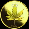 Brian_Halvarson's profile picture. 