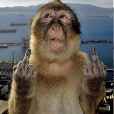 twekooks's profile picture. sem meio termo que eu me encaixe.