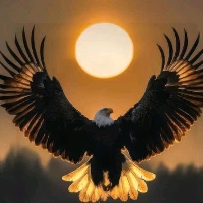 DennisAgu1's profile picture. 