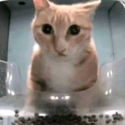 OskyLoveAngel01's profile picture. EVM