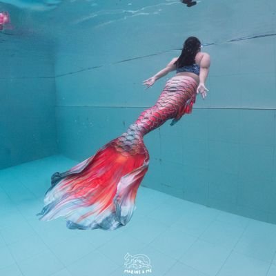 Note🧜‍♀️🎶さんのプロフィール画像