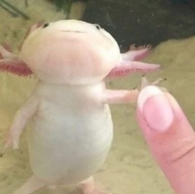 tmfejatkfkd's profile picture. 잡식.
(하루케이,토도치)