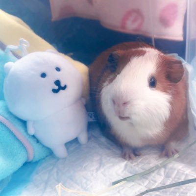 uxsxnlxvx's profile picture. 