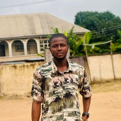 makuo042's profile picture. Software Developer 👨‍💻 (Web app Expert) || PHP (LARAVEL 💗). Creating strategic software solutions for businesses 🚀. @innovagigs