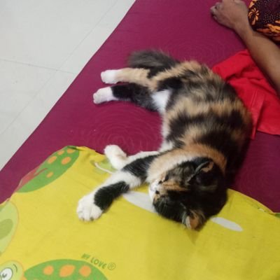JRiyadi717's profile picture. accun mbuh lah, maklum accune wong ndesa
senenge posting ulang nggone uwong