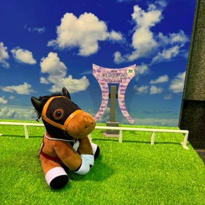 M_kikumalu's profile picture. カツラギエースとメイケイエールが人生のロールモデルであり心の支え🐎 /ウマ娘6thEVENT秋公演参戦予定