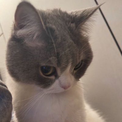 eskidendy's profile picture. 