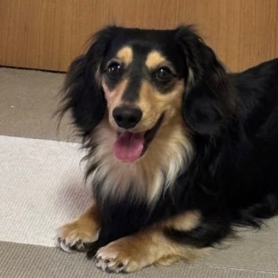 sr_tsuji_kento's profile picture. 1996年7月生まれ 令和7年度社会保険労務士試験合格 令和8年度 開業予定 士業通しの繋がりや自己研鑽に繋げるためアカウント作成致しました。