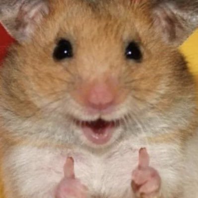 uuuuuu1uuu's profile picture. 🇰🇷kr radiant ２６位 Flat Earth theory 執行者 Flex Estp lgbtq