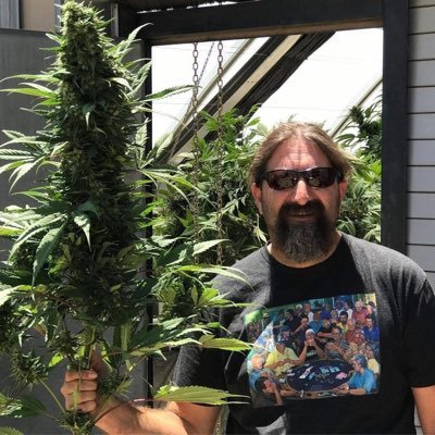 kingkush630's profile picture. 