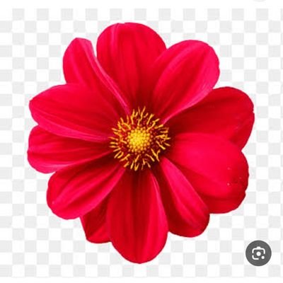 rymas63376's profile picture. 