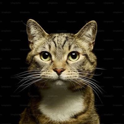 Boy_Successor's profile picture. 🚀 Web3 Enthusiast 👽
👾  Content Curator • Alpha Hunter
💼 Open to DAO collabs & global gigs
📍 Based on-chain, global🌎