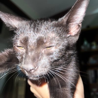 YUN98911524's profile picture. 