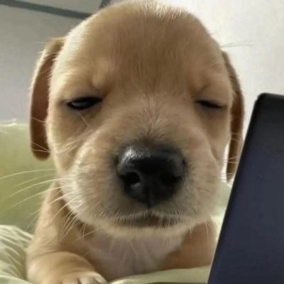 1528hz's profile picture. goals TBS 🫶🏻