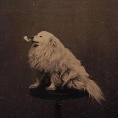 ReallyVeryMany's profile picture. 