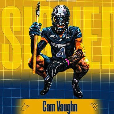 WVUPickaxe's profile picture. Spot The Ball | WVU Football | Certified Ball Knower and Hot Pisser| Let’s Go