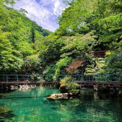 dhdu0t9sYb16492's profile picture. 成人済み。雑多垢。無言フォロー・リポスト失礼します。