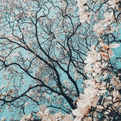 ltcj16's profile picture. 