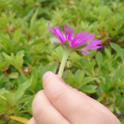 KHqyi8KKwb11812's profile picture. 大阪在住40代/一人娘のシングルファザーとして細々と/妻の危険行動と要求で鬱発症し別居→娘の監護者指定審判終わり。しかし離婚協議が進まない