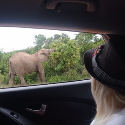 Nataliekdeo0's profile picture. Trade丨Travel丨Sales丨Movies丨Pets丨
Still and always sick and tired of self-serving career politicians.🇺🇸
RTs ≠ endorsement🚫 porn