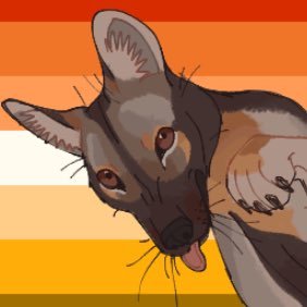 poodlelikespies's profile picture. 15 | he/him/she | Butch Lesbian Dude | I Am a Joker 😂 | I Like Mustelids and Insects