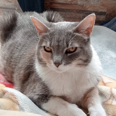 Cam111181458260's profile picture. 