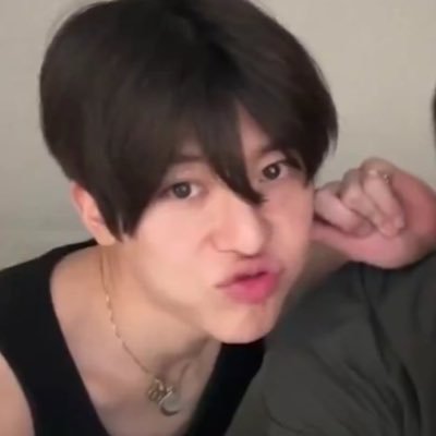 🐻🐥