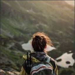 amslerwhis39159's profile picture. Heart made of stories.