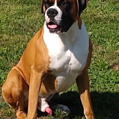 Luna1547988's profile picture. Get your Verified dropbox📦 and Knotty stuff on my🐶💦😘Telegram@ Luna https://t.co/8tScJs9yBV