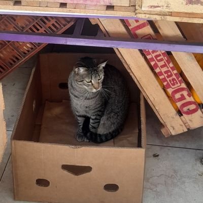 Matias_3a's profile picture. 