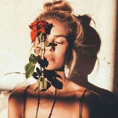 jay4autigers's profile picture. 