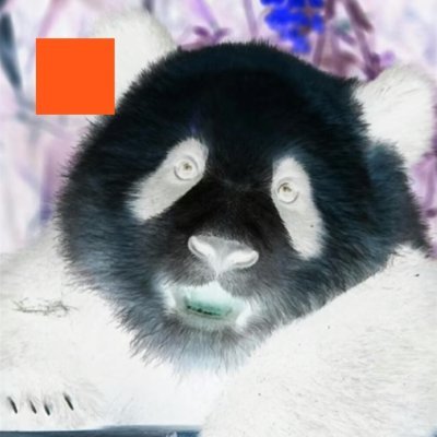 lhok2024's profile picture. 👾🛡️ @wardenprotocol  @Rektgamesx