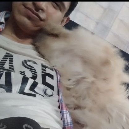 brayanpolo_'s profile picture. 